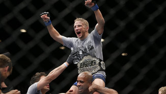 Barao срещу Dillashaw в UFC 186