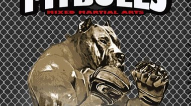 Pitbulls MMA - стадион Локомотив