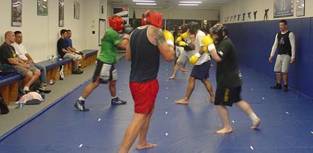 тренировки бойни изкуства
