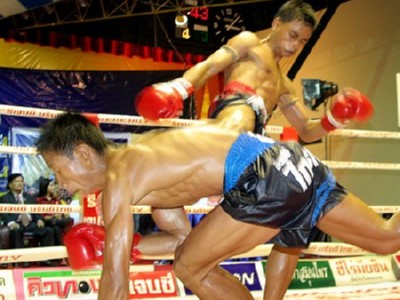 muay thai kickbox муай тай кик бокс бойни спортове самоотбрана