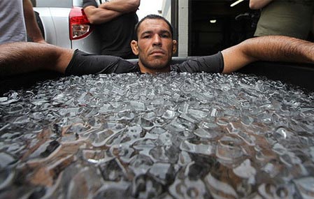 antonio rodrigo nogueira ufc mma