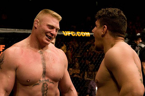 brock lesnar frank mir