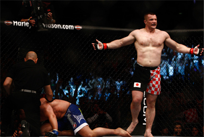 mirko cro cop filipovic