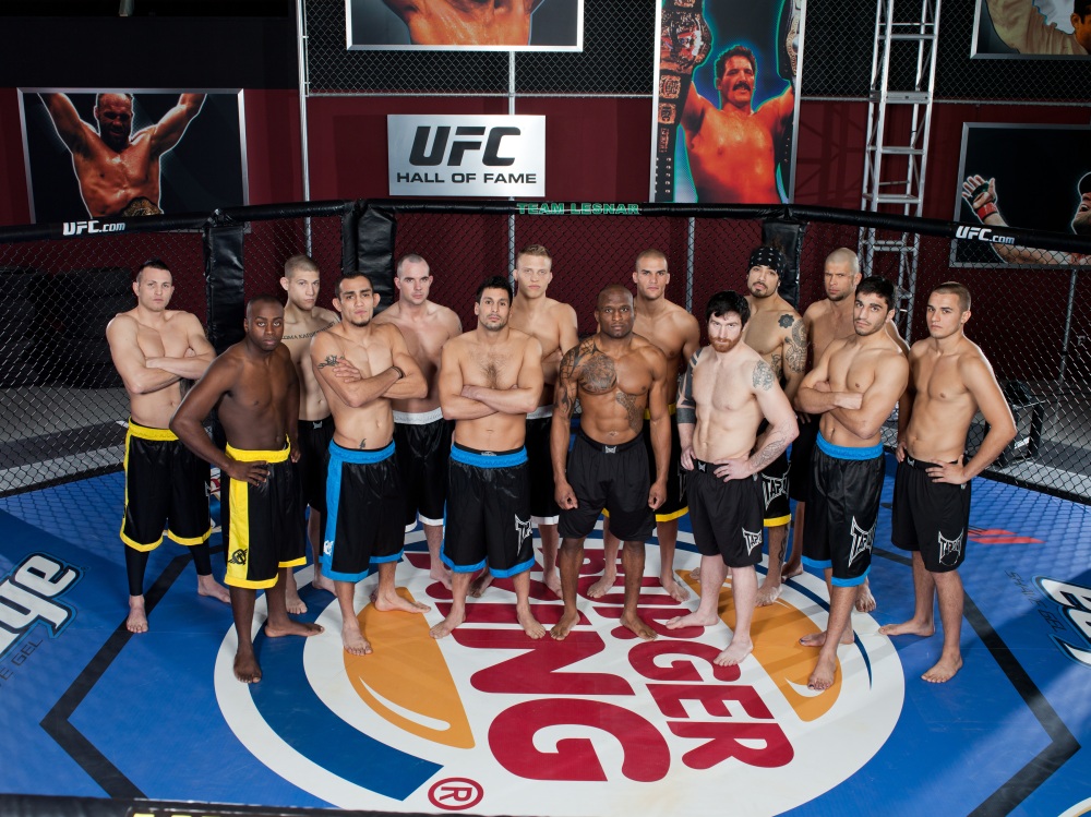 the ultimate fighter 13 finale