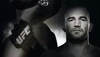 Разширен преглед на предстоящото ММА състезание UFC 172: 'Jones vs. Teixeira'