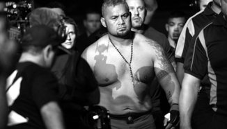 Mark Hunt срещу Roy Nelson на 20 септември