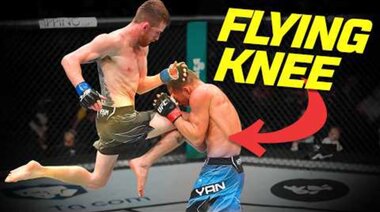 Трябва да видите тези красавици