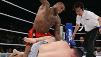 Gilbert Yvel срещу Junior Dos Santos в UFC 108