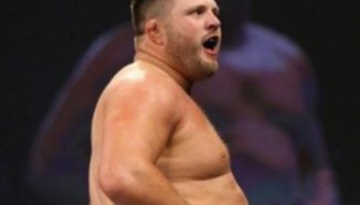 Резултати от The Ultimate Fighter 10 Finale