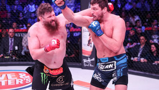 Roy Nelson: Matt Mitrione не си повярва, че ме е победил