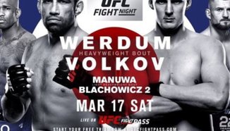 Fight Night London: Werdum срещу Volkov - превю