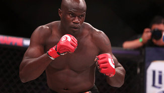 Cheick Kongo нокаутира брутално Javy Ayala