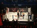 Ivica Truscek vs Josif AlSaid - WFC 13 (1/2)