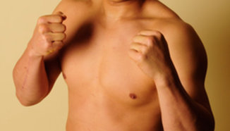 Fujimoto с последен двубой в K-1 на WGP 2010