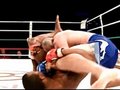 WFC - подбрани моменти