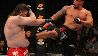 Следшащият двубой на Shane Carwin трябва да е срещу Roy Nelson?