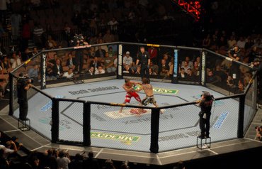 Четири UFC нокаути в рамките на 30 секунди или по-малко