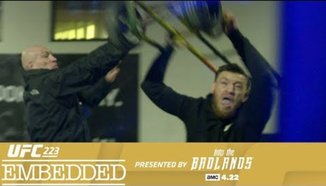 Погромът на McGregor и неговата група