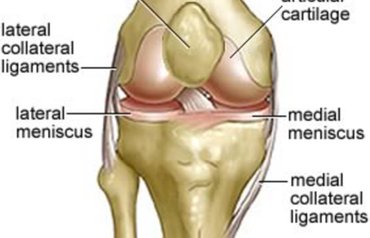 Болки в коленете