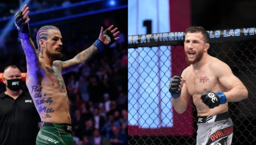 О'Мали и Двалишвили се заядоха в социалните мрежи