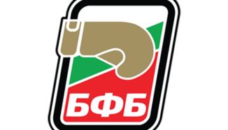 Силен турнир за младите ни боксьори в Италия