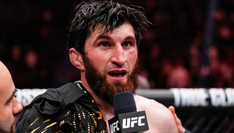 Анкалаев предлага на Перейра незабавен реванш: Заслужаваш го