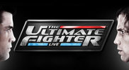 Отворена тренировка преди The Ultimate Fighter 15 Finale