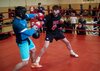 Боксьори от 3 континента идват за спаринги с националите