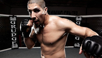 Brendan Schaub срещу Lavar Johnson в UFC 154