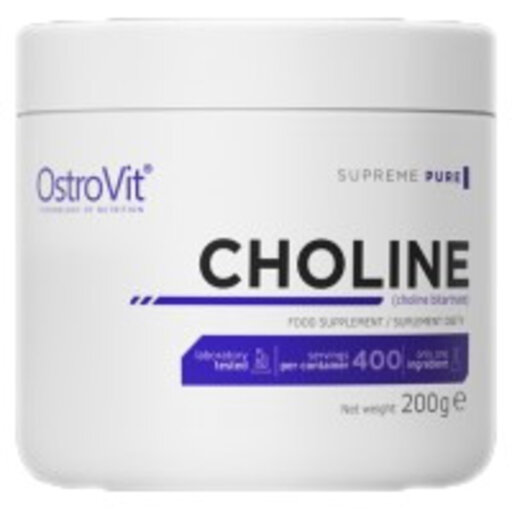 OstroVit - Choline Bitartrate Powder / 200 грама, 400 дози