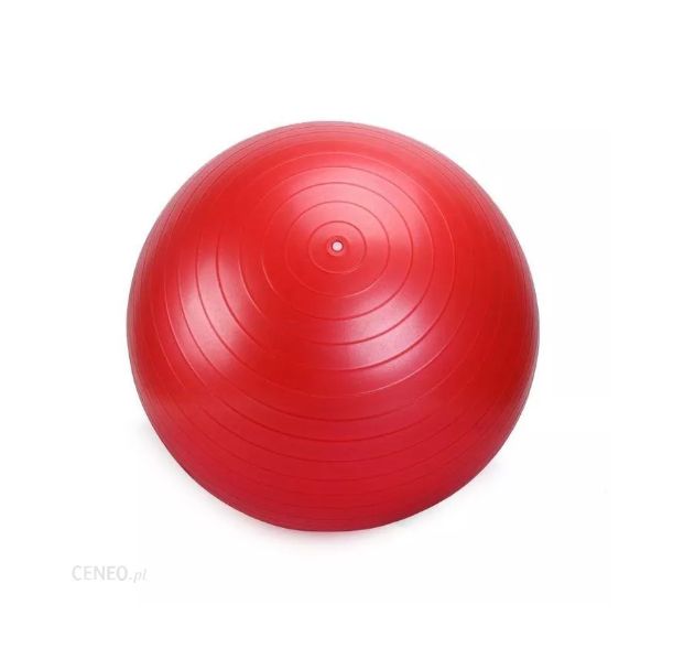 ARMAGEDDON Gymnastic Ball With a Pump 65 cm / Гимнастическа Топка с Помпа 65 см​