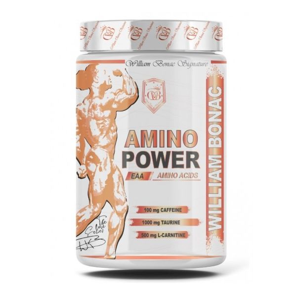 William Bonac THE CORE SERIES AMINO POWER 300 гр / 30 дози