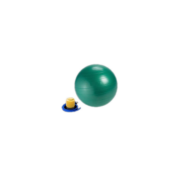 OstroVit - Gymnastic Ball With a Pump 65 cm | Гимнастическа топка с помпа