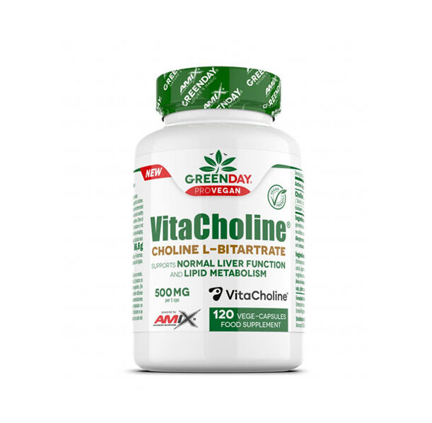 AMIX - Choline Bitartrate VitaCholine® 500 mg / 120 Vcaps