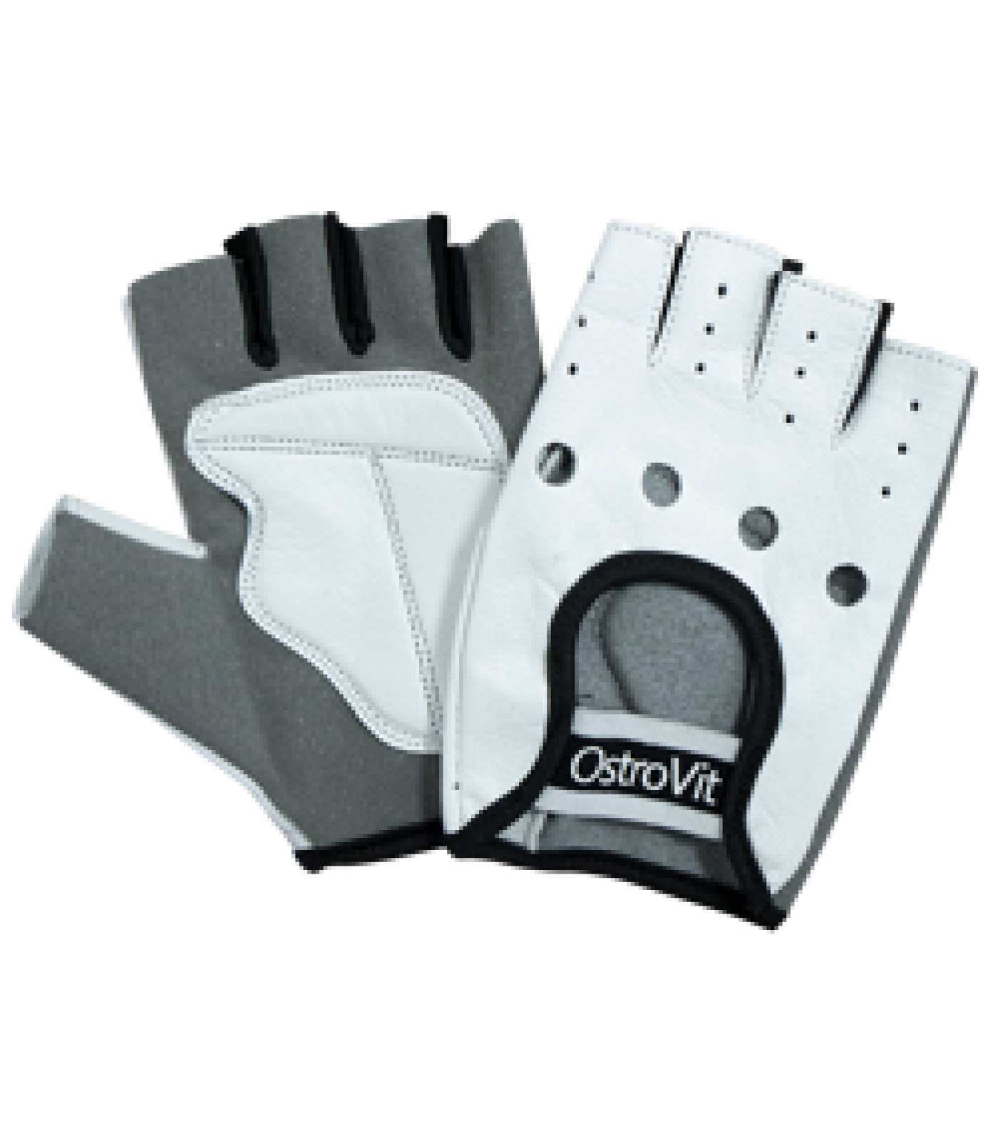 OstroVit - Men's Training Gloves / Мъжки тренировъчни ръкавици