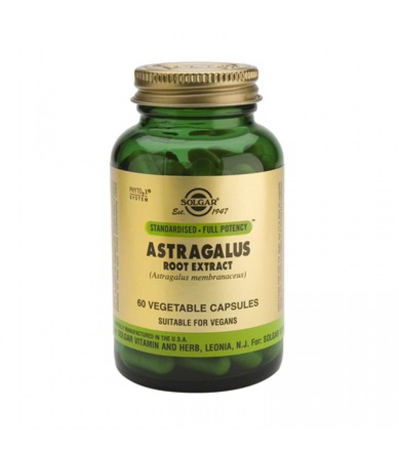 Solgar - Astragalus Root Extract / 60 caps.​