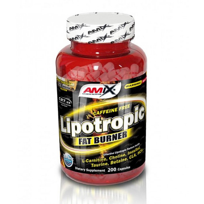 Amix - Lipotropic Fat Burner / 200caps.