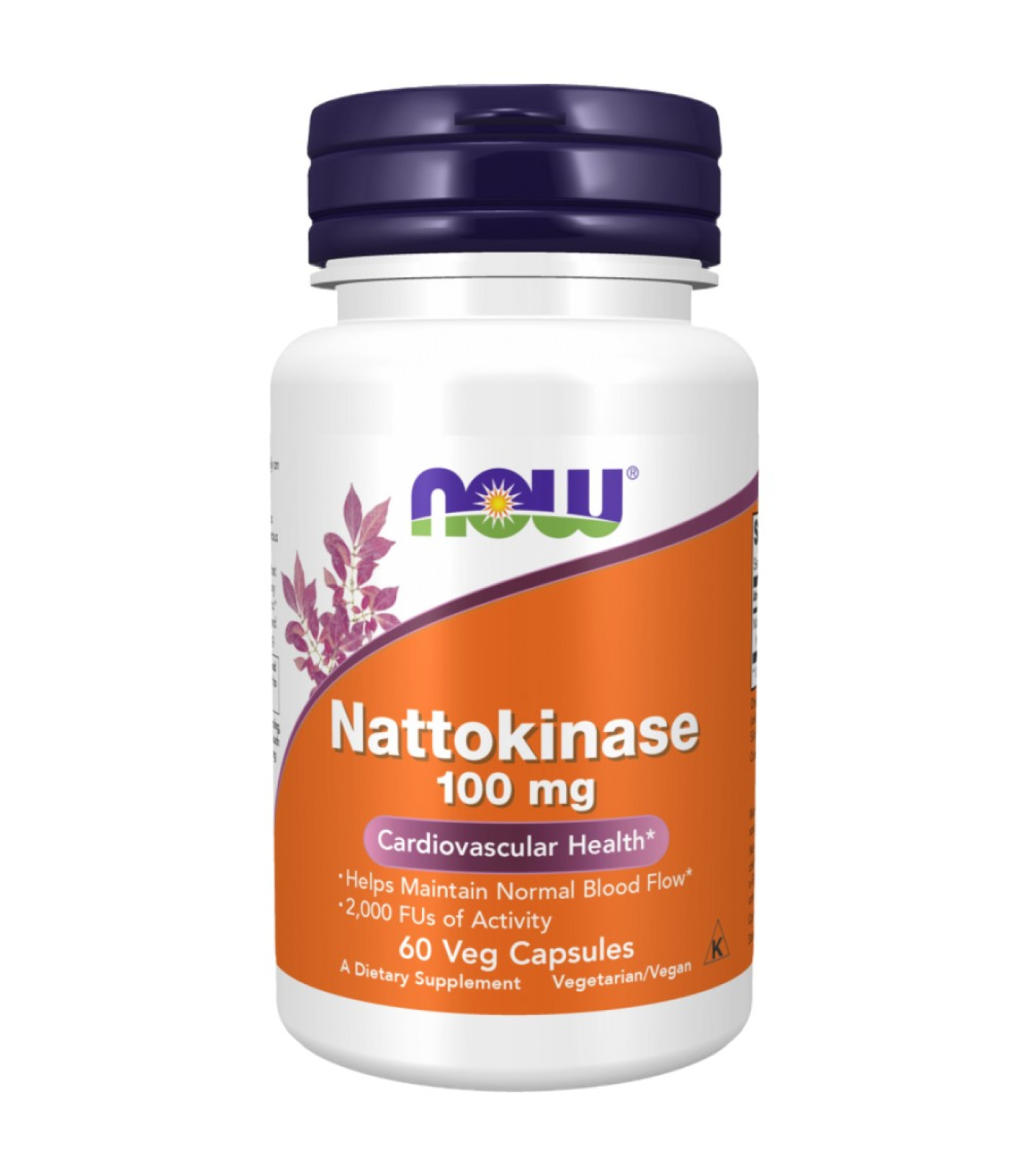 NOW Foods - Nattokinase 100 mg