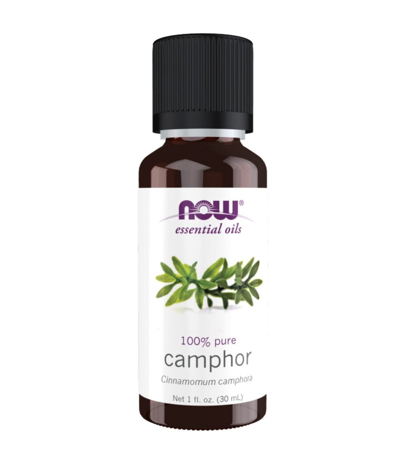NOW Foods - Camphor Oil | 100% Pure Cinnamomum Camphora