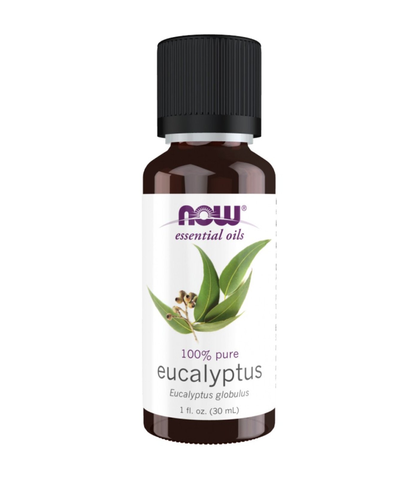 NOW Foods - Eucalyptus Oil | 100% Pure Eucalyptus Globulus