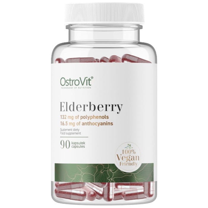 OstroVit - Elderberry Extract 330 mg | Vege / 90 капсули, 90 дози