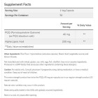 NOW Foods - PQQ 40 mg Extra Strength | with Alpha Lipoic Acid 200 mg (50 дози)