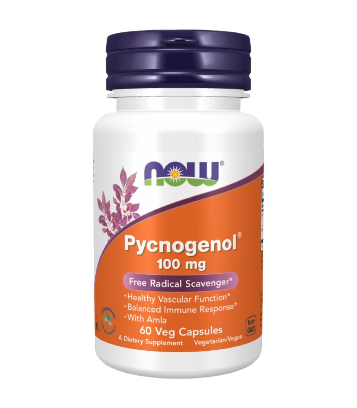 NOW Foods - Pycnogenol 100 mg (60 дози)