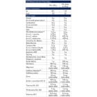 EthicSport - STARTER 1000 | New Generation Pre-Workout / 400 грама, 20 дози