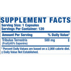 Ronnie Coleman - Tribulus XS 500 mg (120 дози)