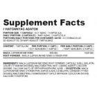 Nutriversum - Maca Root 800 mg / 60 caps.