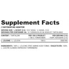 Nutriversum - L-Leucine Powder | 100% Pure Leucine / 200 gr.