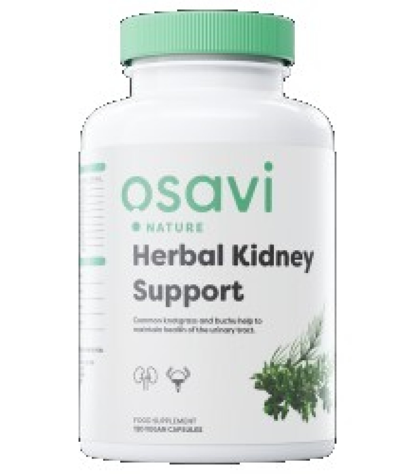 Osavi - Herbal Kidney Support | Healthy Urinary Tract / 120 капсули