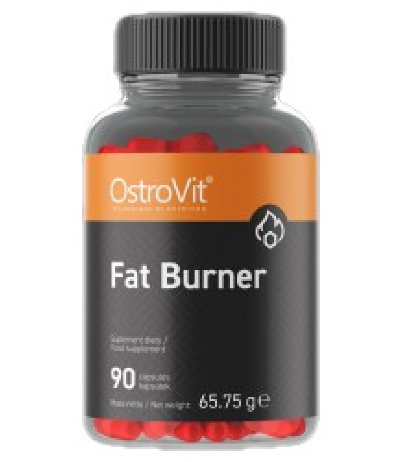 OstroVit - Fat Burner / 90 tab