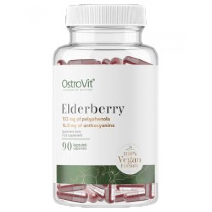 OstroVit - Elderberry Extract 330 mg | Vege / 90 капсули, 90 дози